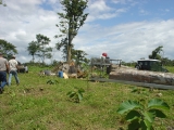 sawmill in position